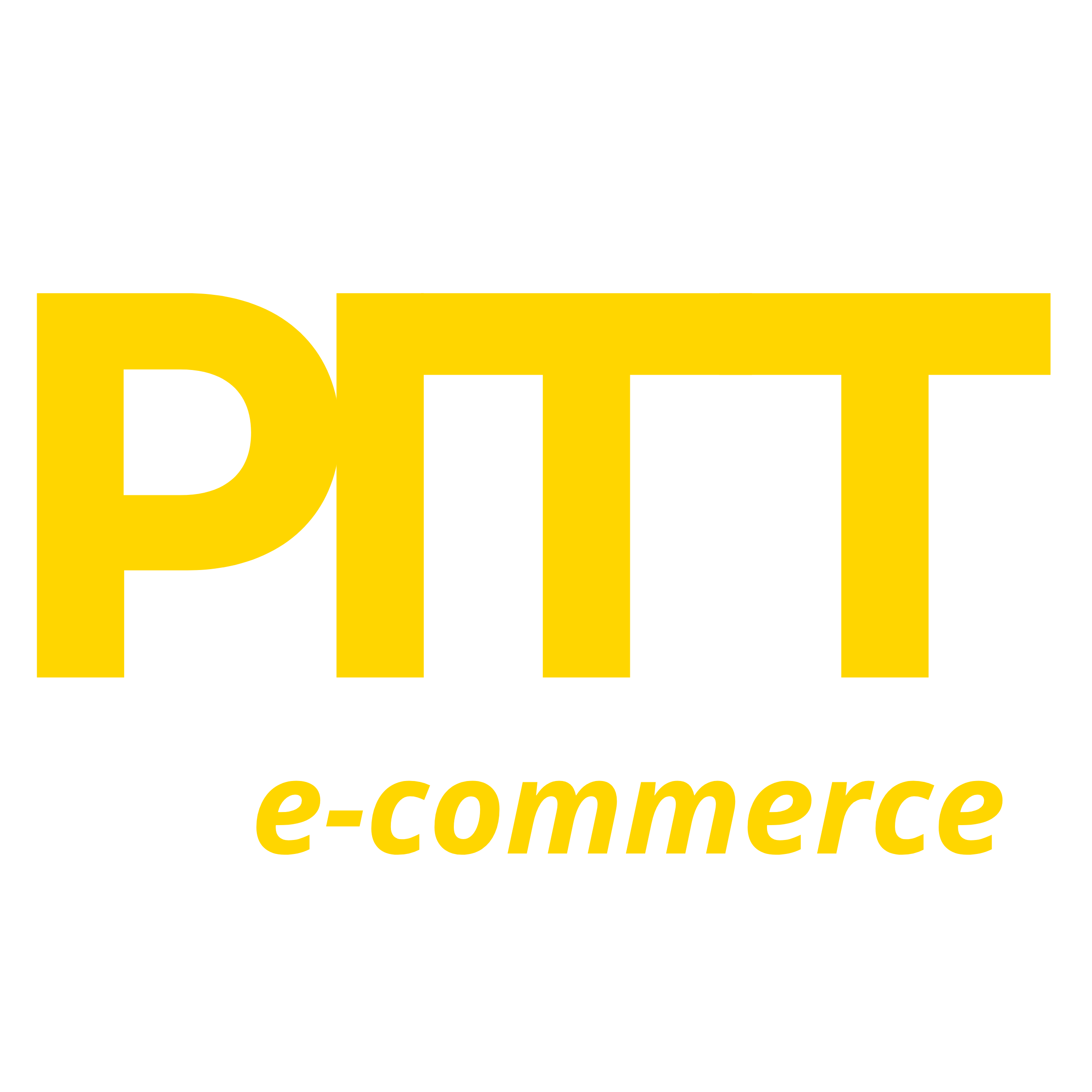 PITT S.A.C.